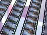 Final Cut Pro Plugins CHV 3D-collection